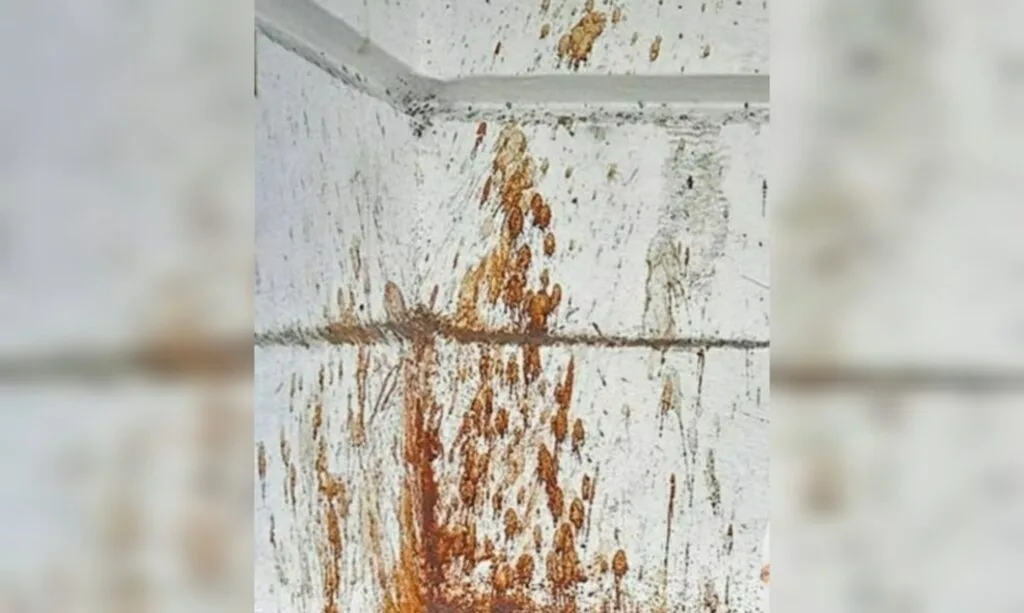 যত্রতত্র পান, গুটখা খেয়ে পিক ফেললে গুনতে হবে মোটা অঙ্কের জরিমানা! কড়া আইন আনছে মমতা সরকার